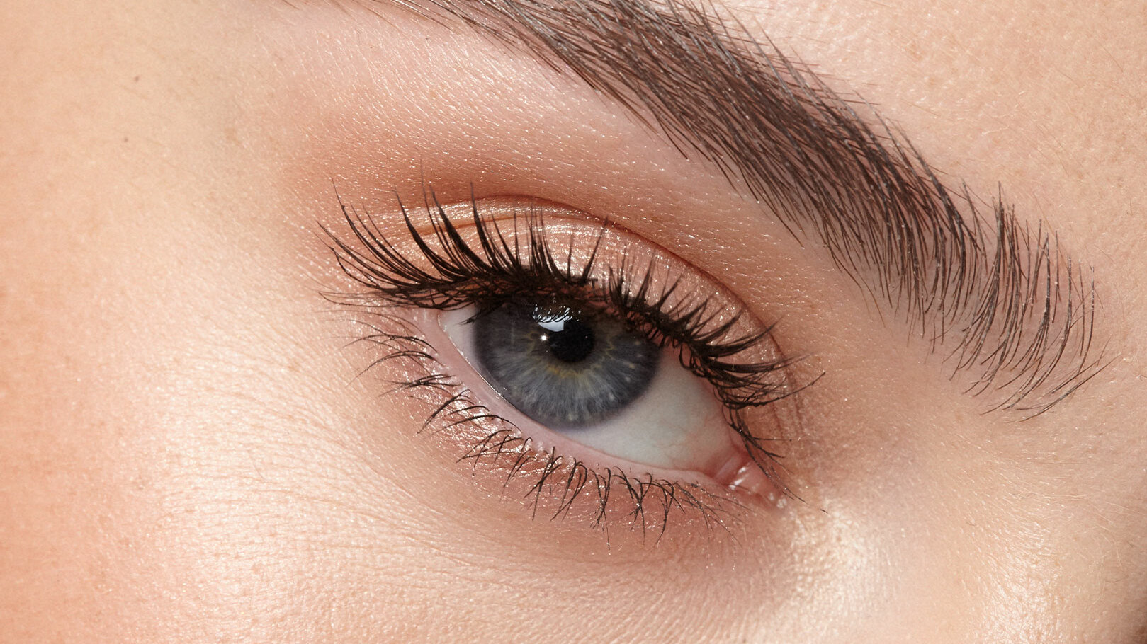 CC-EYE® & CC-SKIN®